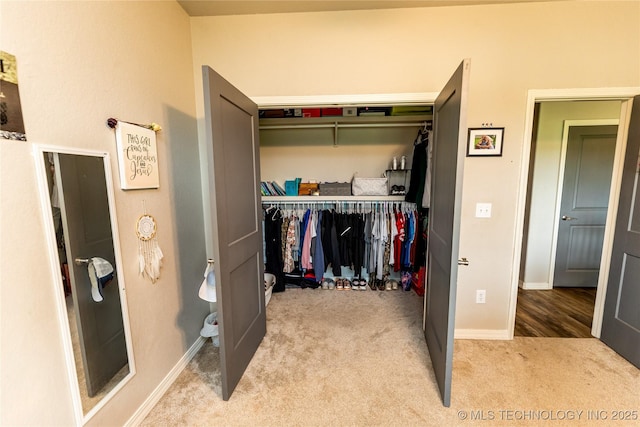 view of closet