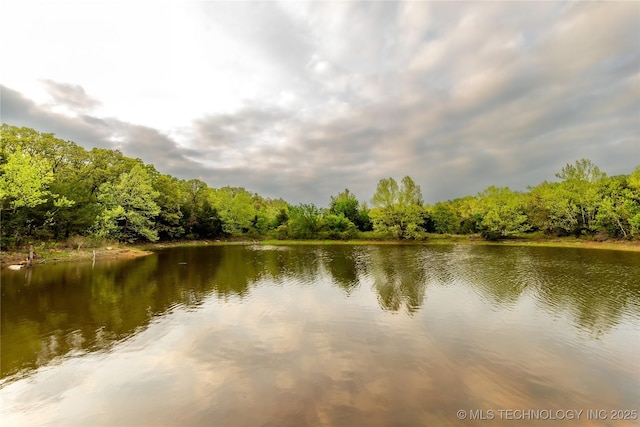 property view of water with a forest view