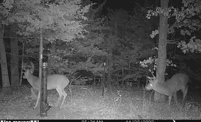 29705 Harvest, Glencoe, OK 74032 - photo 48