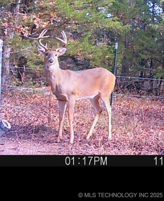 29705 Harvest, Glencoe, OK 74032 - photo 49
