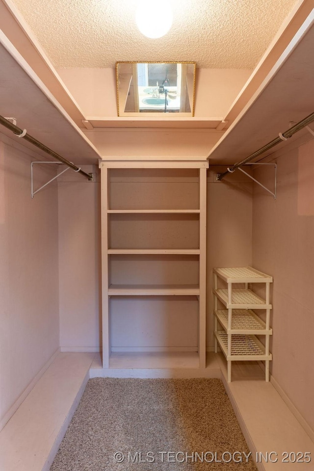 walk in closet featuring carpet flooring
