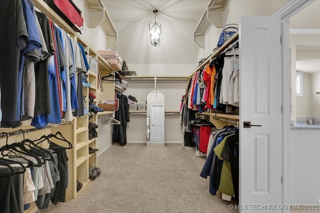 spacious closet with carpet flooring