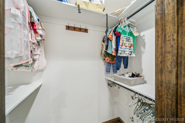 view of walk in closet