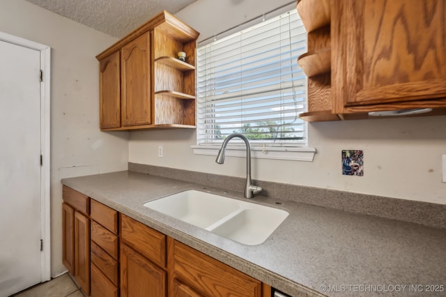 35617 W 261st St S, Bristow, OK 74010 - kitchen with a sink, open shelves, and brown cabinets