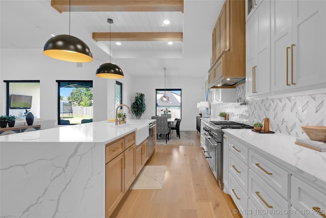 kitchen with a sink, light wood finished floors, a wealth of natural light, and stainless steel appliances