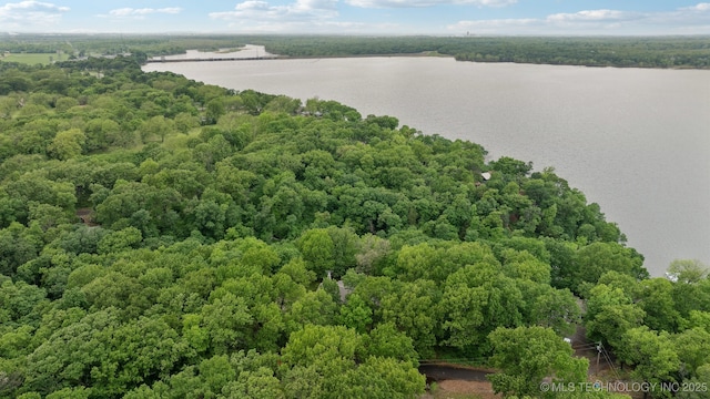 bird's eye view featuring a water view and a forest view