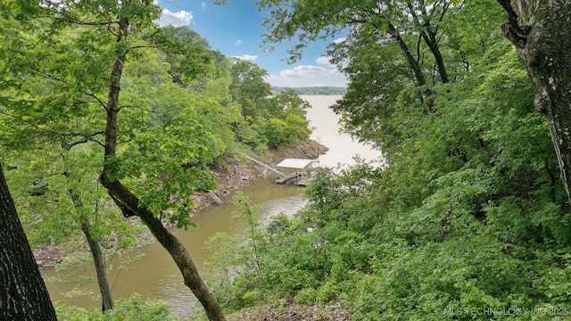 property view of water