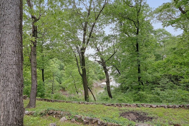 view of nature with a view of trees
