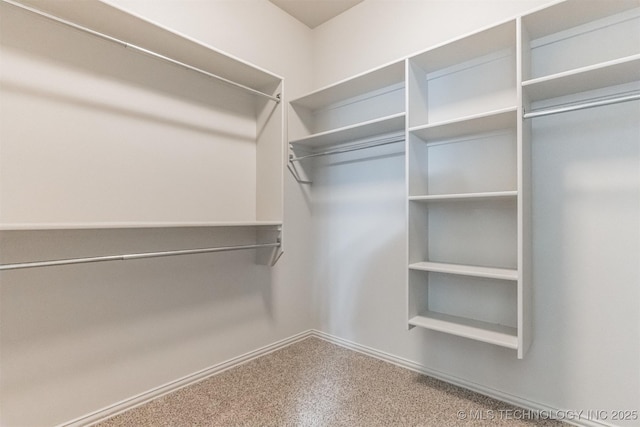 spacious closet featuring carpet floors