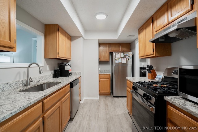 kitchen with a tray ceiling, appliances with stainless steel finishes, a sink, light wood finished floors, and under cabinet range hood