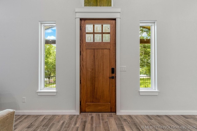 foyer with baseboards, wood finished floors, and a wealth of natural light