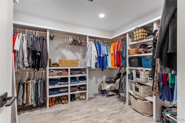 walk in closet featuring wood finished floors
