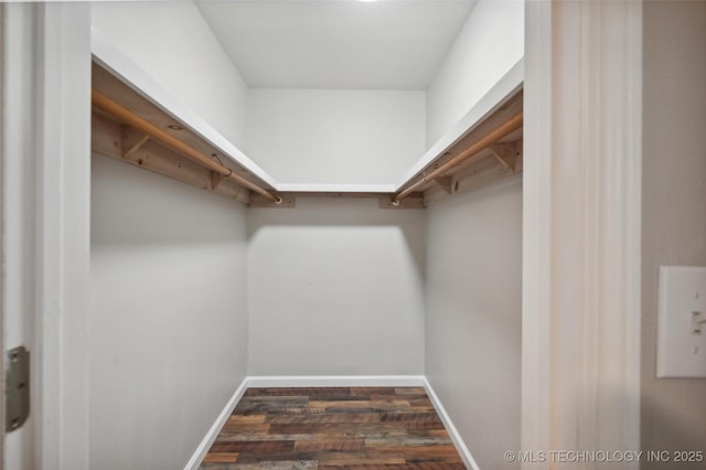 walk in closet featuring dark wood finished floors