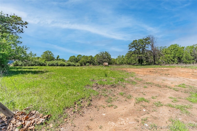 view of yard featuring a rural view