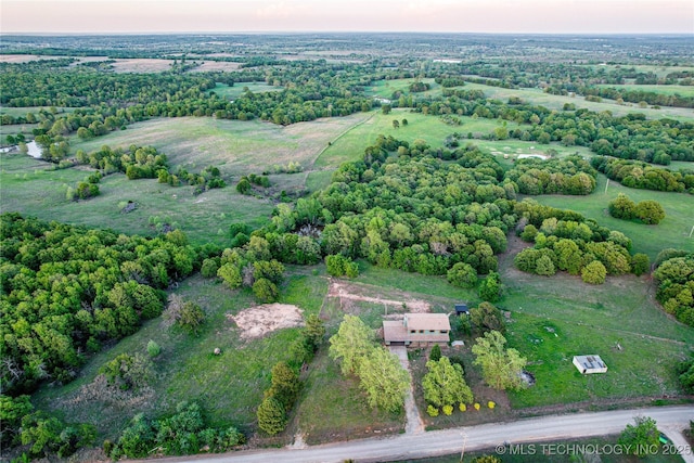 bird's eye view