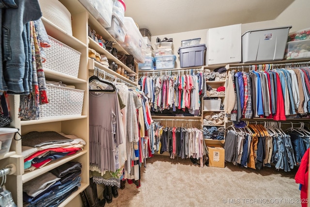 walk in closet with carpet flooring