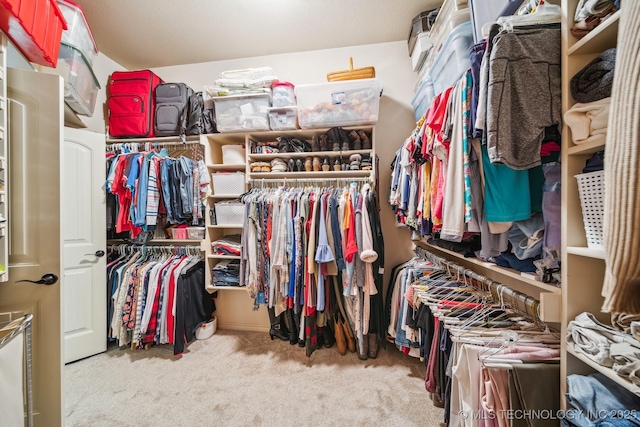 spacious closet with carpet flooring