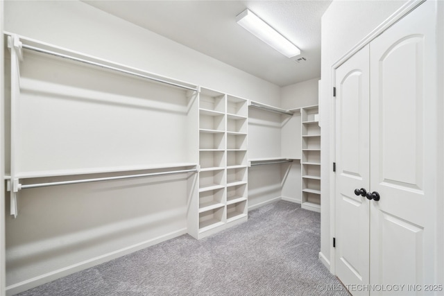 walk in closet with carpet floors