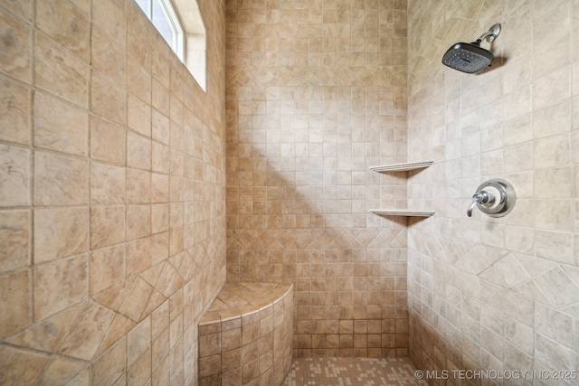8655 E 103rd St, Tulsa, OK 74133 - bathroom with a tile shower