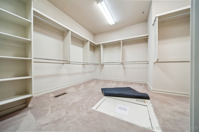 8655 E 103rd St, Tulsa, OK 74133 - spacious closet featuring carpet flooring