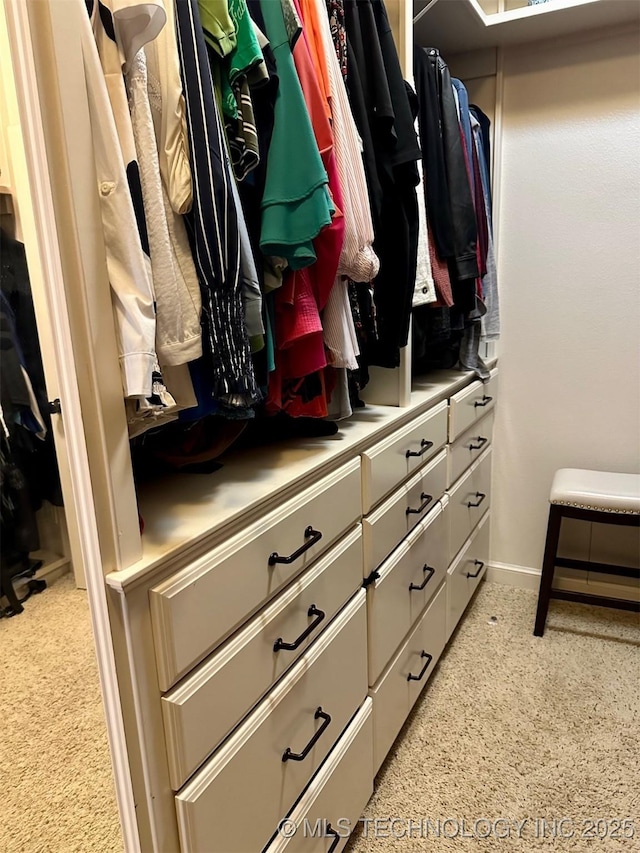 view of walk in closet