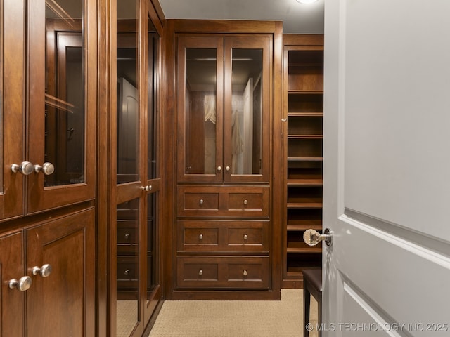 spacious closet featuring light colored carpet
