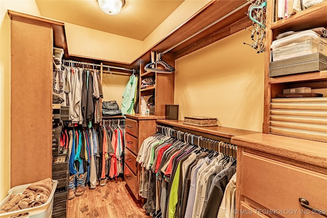 walk in closet featuring light wood-type flooring