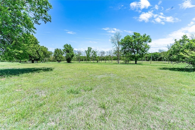 view of yard featuring a rural view