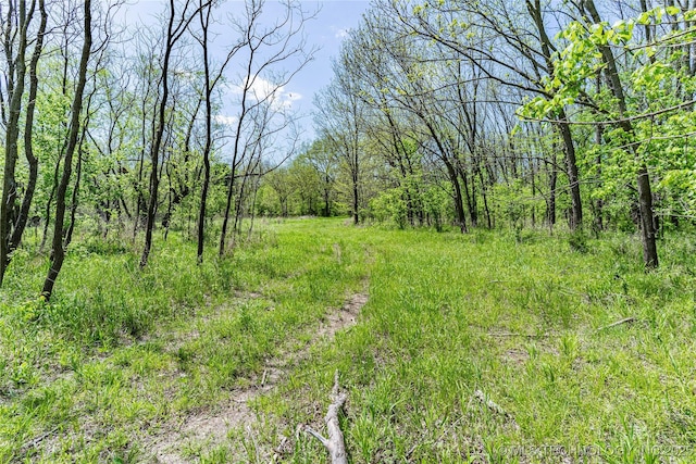 view of nature featuring a wooded view