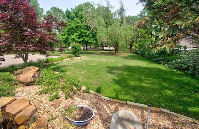 view of yard