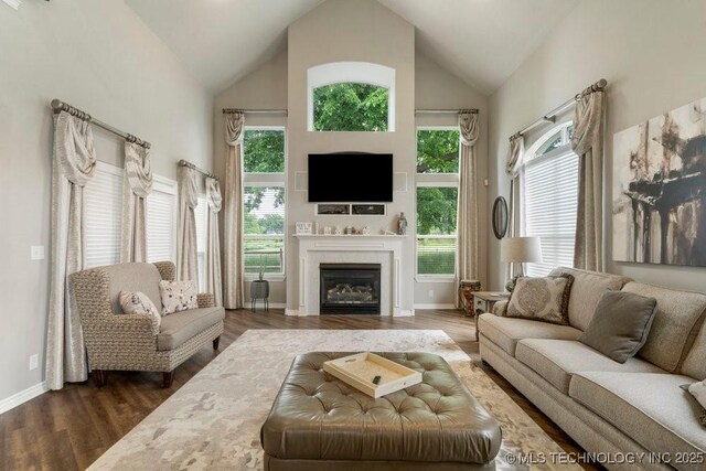 3401 N Narcissus Ave, Broken Arrow, OK 74012 - living room with a glass covered fireplace, high vaulted ceiling, wood finished floors, and baseboards