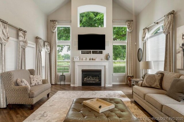 3401 N Narcissus Ave, Broken Arrow, OK 74012 - living room with vaulted ceiling, healthy amount of natural light, a fireplace, wood finished floors, and baseboards