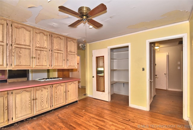 2140 S Columbia Ave, Tulsa, OK 74114 - kitchen featuring a ceiling fan, wood finished floors, crown molding, baseboards, and white gas cooktop