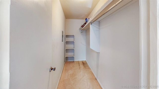 spacious closet with light colored carpet