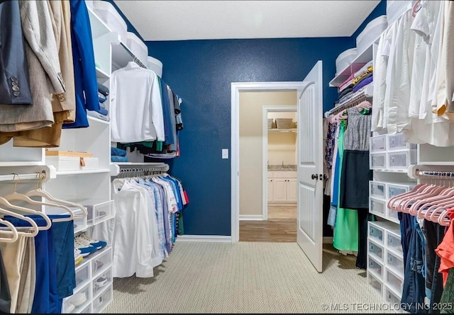 walk in closet featuring carpet floors