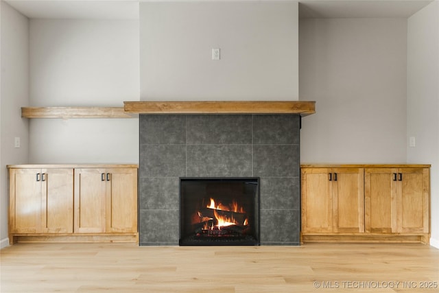 details with baseboards, wood finished floors, and a fireplace