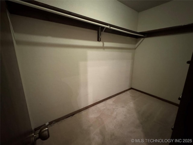 walk in closet featuring carpet