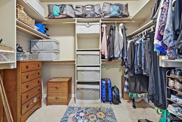 view of walk in closet