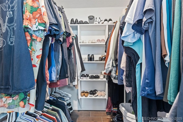 walk in closet featuring wood finished floors