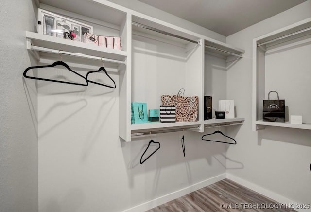 spacious closet featuring wood finished floors