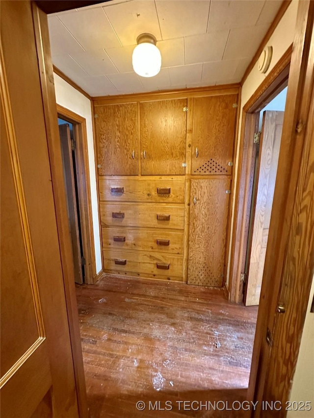corridor with wooden walls and hardwood / wood-style floors