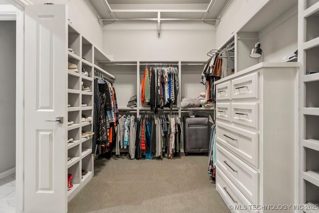 spacious closet with carpet
