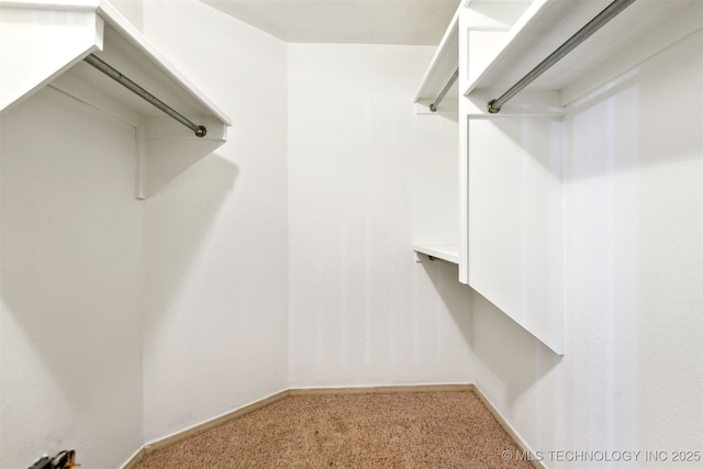 spacious closet with carpet