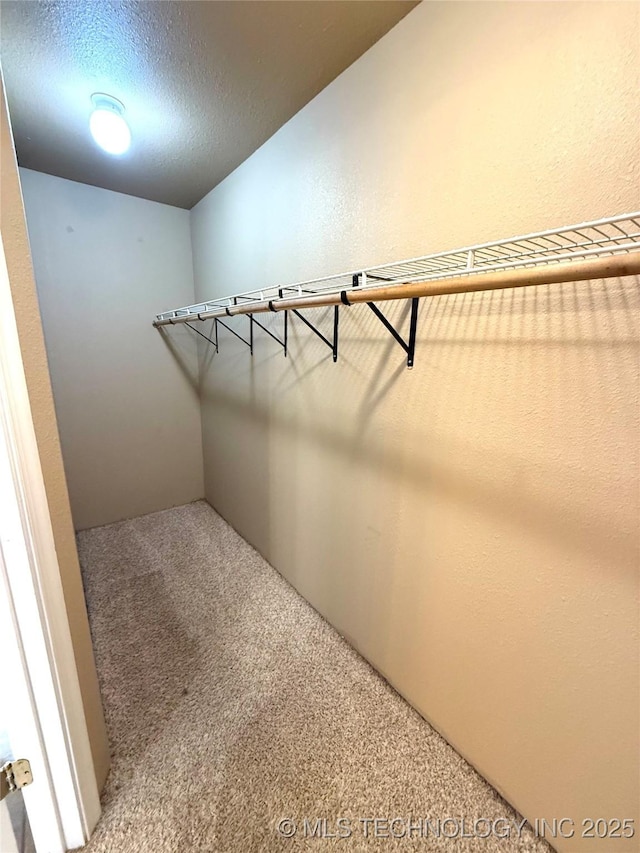 spacious closet with carpet flooring