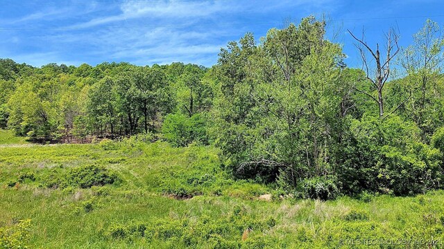 69000 S 4664th Rd, Westville, OK 74965 - photo 14