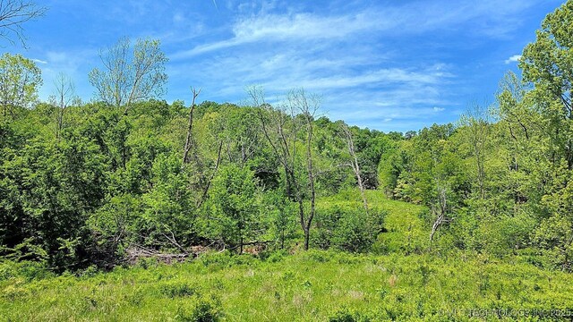 69000 S 4664th Rd, Westville, OK 74965 - photo 17