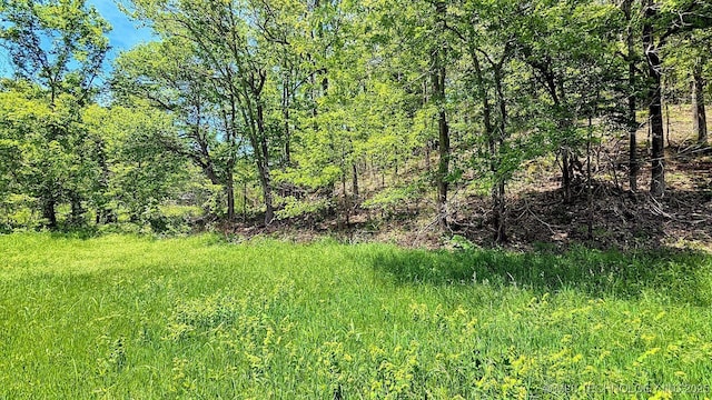 69000 S 4664th Rd, Westville, OK 74965 - photo 27