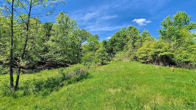 69000 S 4664th Rd, Westville, OK 74965 - photo 35