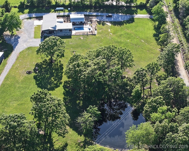 bird's eye view