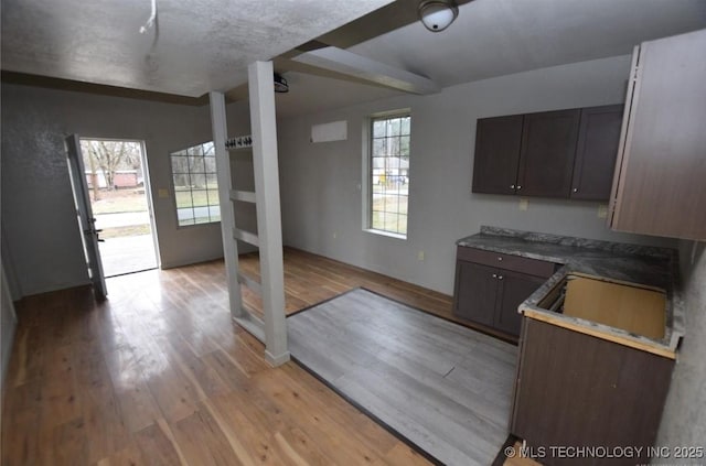 kitchen with light wood finished floors, plenty of natural light, and dark brown cabinets